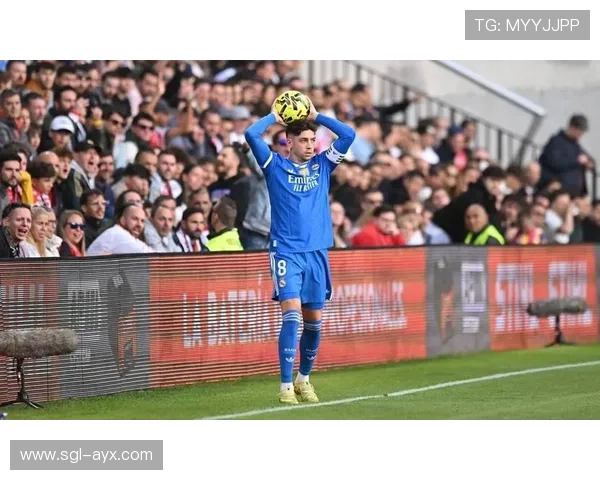 巴尔韦德皇马生涯遗憾：巅峰未竟，传奇依旧闪耀